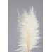 LONG FERN 16" x 8"  Bleached